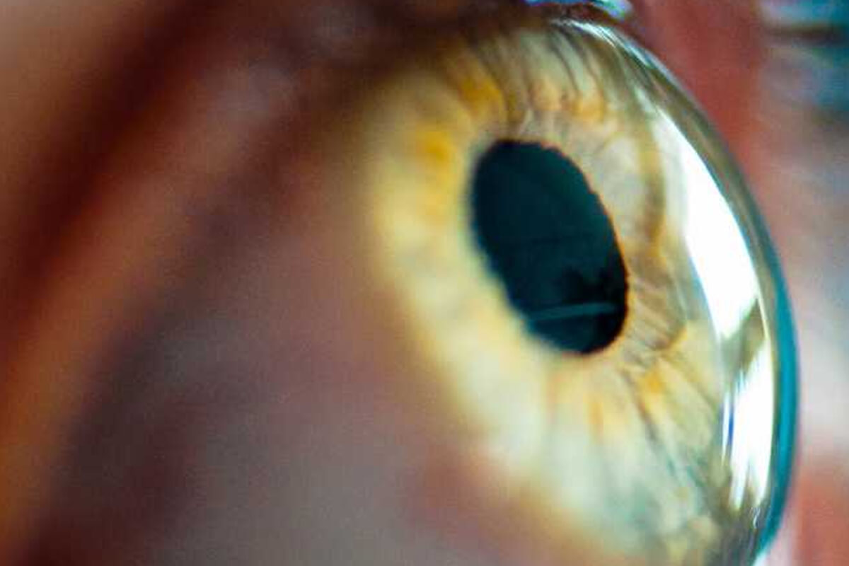 Retina Hastalıklarından Nasıl Korunulur?